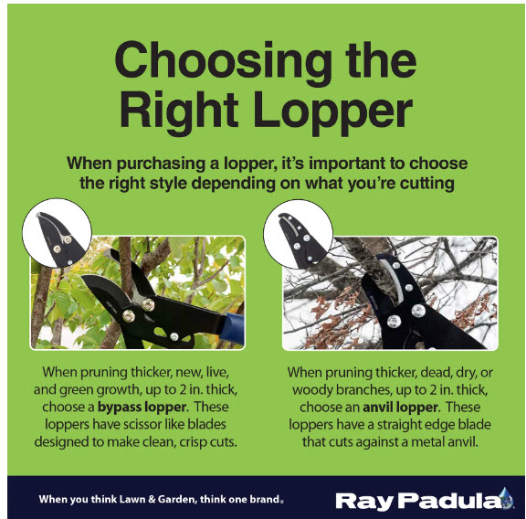 Ray Padula Lopper And Heavy Duty Pruner Set Yes You Get BOTH The