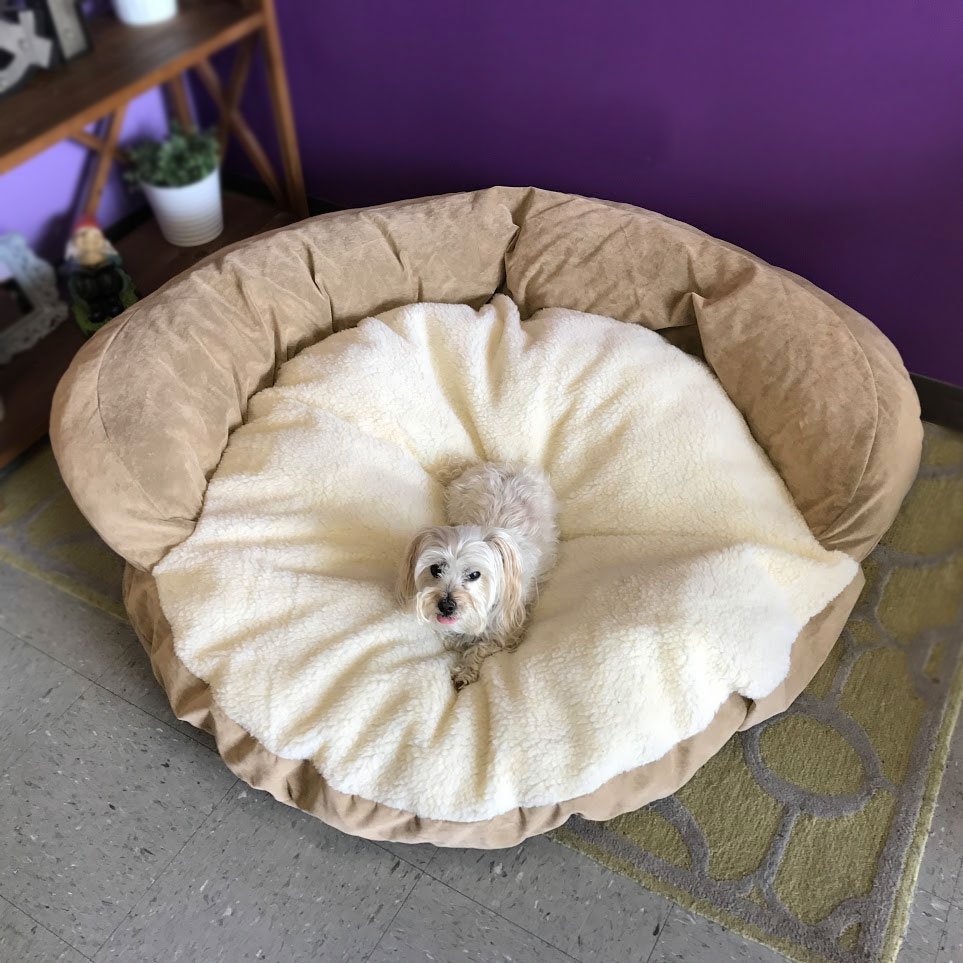 flexi mat dog bed