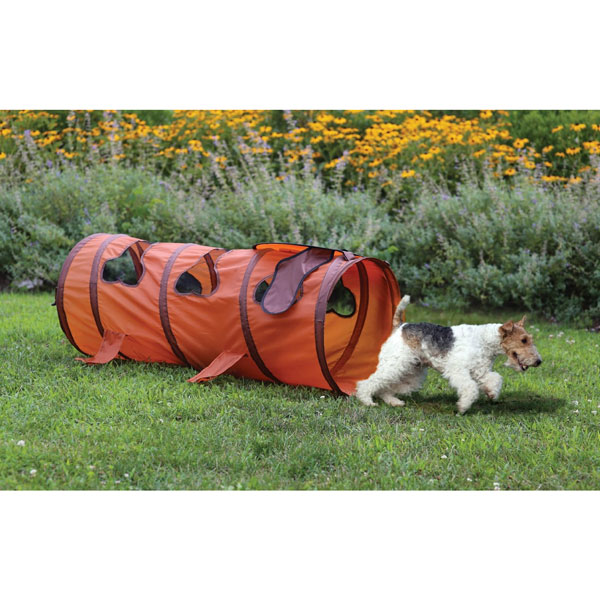 Dog Tunnel Indoor and Outdoor Fun! Ships FREE 13 Deals