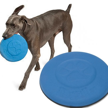 dogzilla frisbee