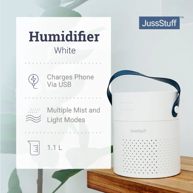 Portable Cool Mist Humidifier $19.99 (reg $50)