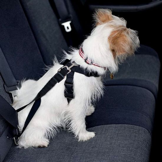Car Seat Belt for Pets Snaps into your seat belt buckle and attaches