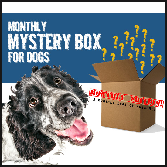 Monthly Mysterious Box of Mystery: Every Month!