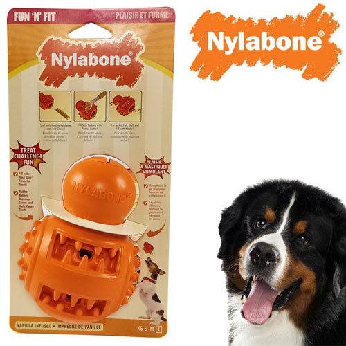 nylabone treat holder