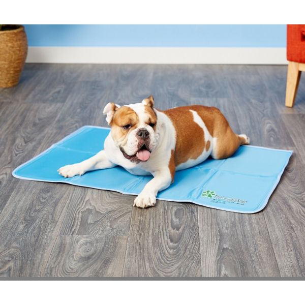 Aussie Naturals Large Size Cooling Pet Pad - 24