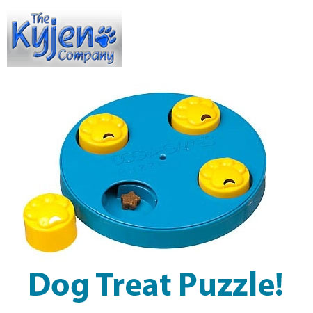 Kyjen Dog Games Treat Wheel Dog Toy Puzzle  Dog games, Dog puzzle toys,  Interactive dog toys