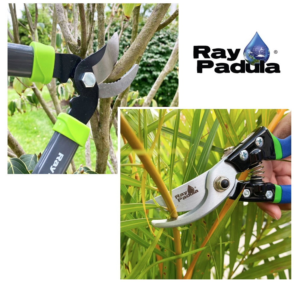 Ray Padula Lopper and Heavy Duty Pruner Set Yes, you get BOTH the