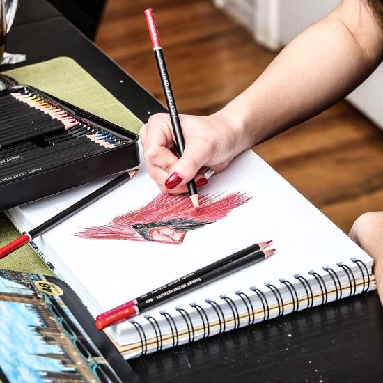 Colore Artist Quality Colored Pencils 48 Premium PreSharpened Color