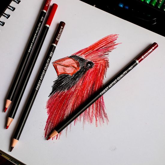 Colore Artist Quality Colored Pencils 48 Premium PreSharpened Color